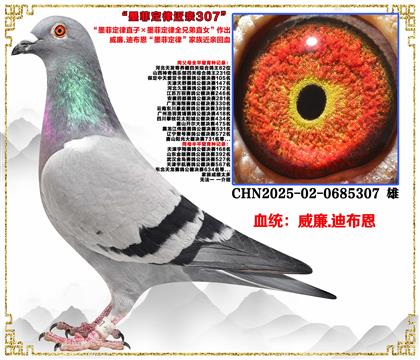 ����.�ϲ�����ī�ƶ���ֱ�ӡ�ī�ƶ���ȫ�ֵ�ֱŮ��