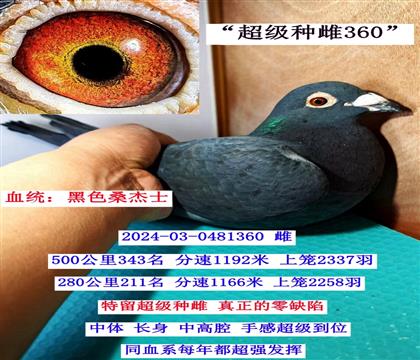 ���߱��ֺڴƣ�