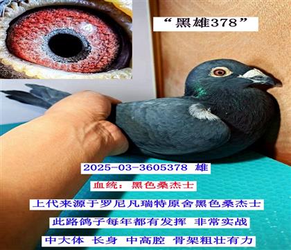 ������  03-3605378��