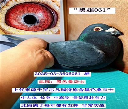 ������  03-3606061��