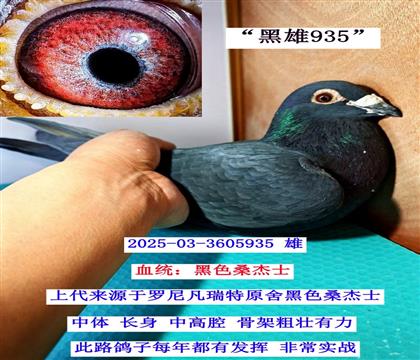 ������  03-3605935��