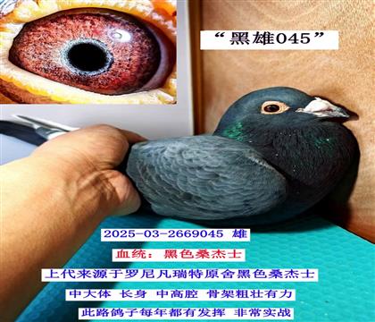 ������ 03-2669045��