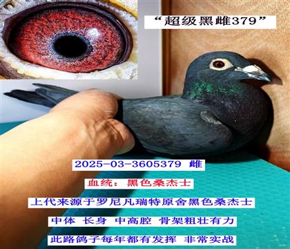 ��Ư���ڴ� 03-3605379��