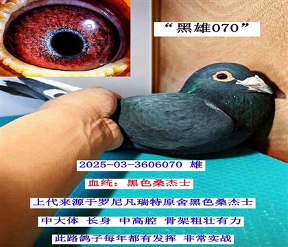 ������ 03-3606070��