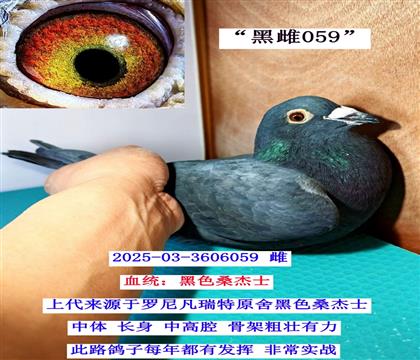 ��Ư���ڴ� 03-3606059��