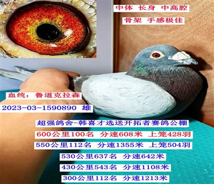 Ư�����ۣ�³������ɭ��