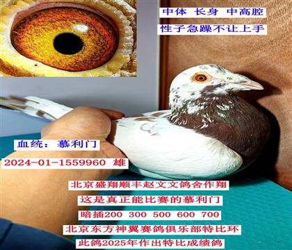 �����ܱ����Ļ��ˣ�Ľ���ţ�