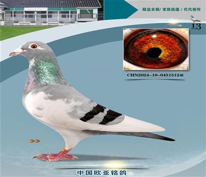 ����614X061ɣ��ʿֱ��337X����926ֱŮ239