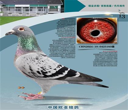 ղɭ251ֱ��326X766ֱŮ848