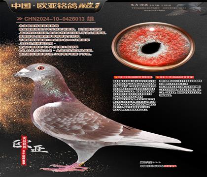 ղɭ���ع��ϰ���293X��Ъ�����040