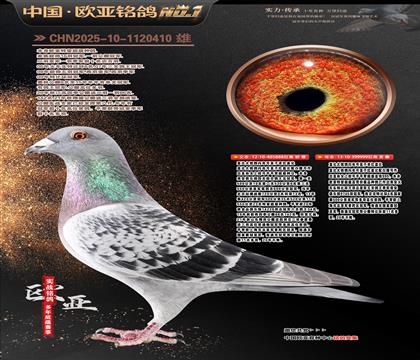 ��ǱȽ���888X��ǱȽ���999��������