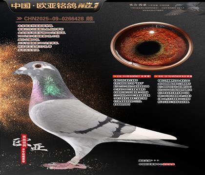 ���Ը�����827X638