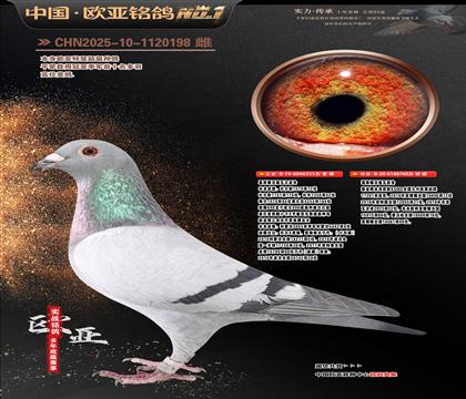 ��˹�ٷ�����ԭ��355X760