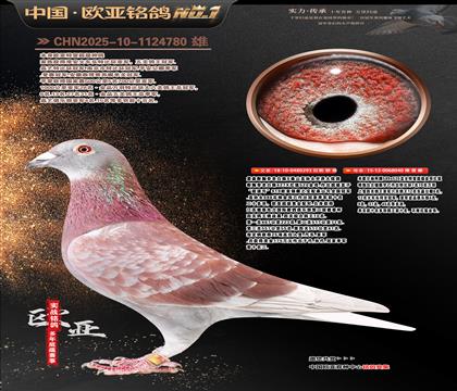 ղɭ���ع��ϰ���293X��Ъ�����040