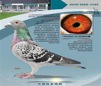 ղɭ����20��354Xղɭ522����ǰ��ʮ��ƽ��