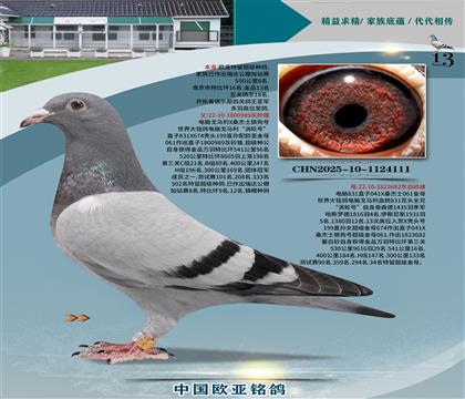 ����Xɣ��ʿֱ��989Xɣ��ʿ682��ĸ