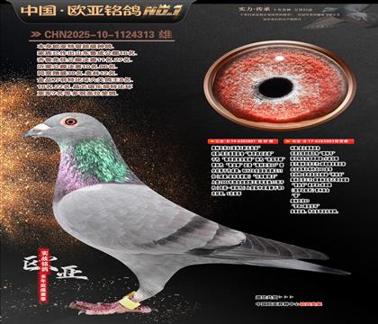 ����ƥ��03ֱ��XŷԪֱŮ801X����003