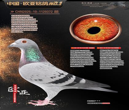 ղɭ919����308Xղɭ766ֱŮ563