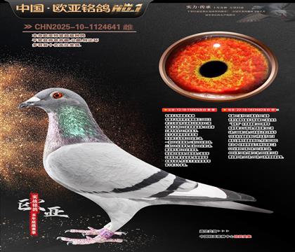 ���Գ����ֹ�926����Xɣ��ʿ682��ĸ29��