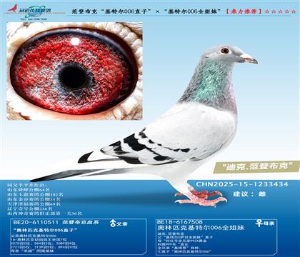 ���ǲ��ˡ����ض�006ֱ�ӡ��������ض�006ȫ���á�