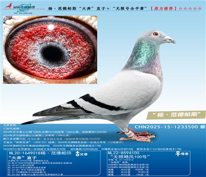 �������˹���󱼡�ֱ�ӡ������޺�ȫƽ����