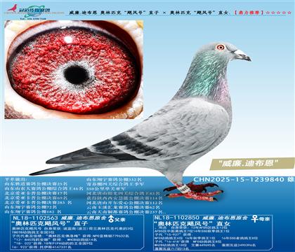 ����.�ϲ��� ����ƥ�ˡ�쫷�š�ֱ�� �� ����ƥ�ˡ�쫷�š�