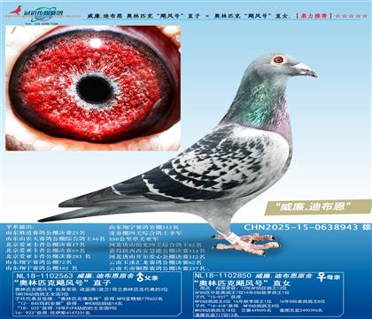 ����.�ϲ��� ����ƥ�ˡ�쫷�š�ֱ�� �� ����ƥ�ˡ�쫷�š�