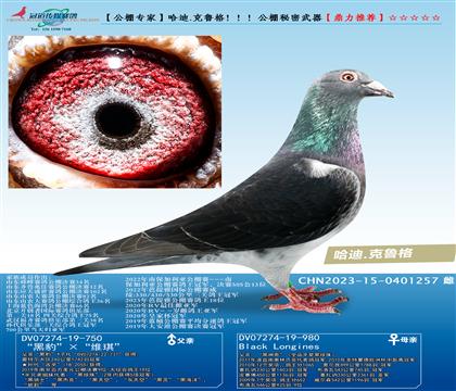 ����.��³�񳬼���ĸ ������������