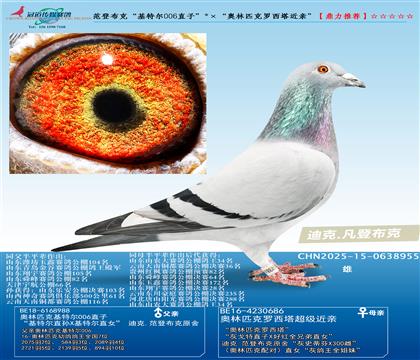 ���ǲ��ˡ����ض�006ֱ�ӡ���������ƥ�����������ס�