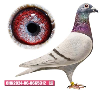 ���ǲ���-�ú�����312