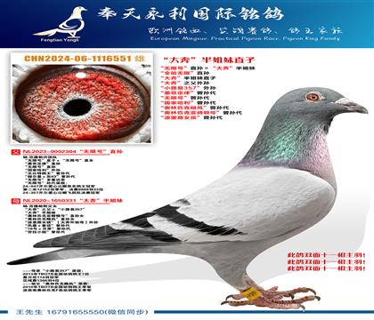 ���󱼡������ֱ�ӡ����޺š�ֱ������󱼡������