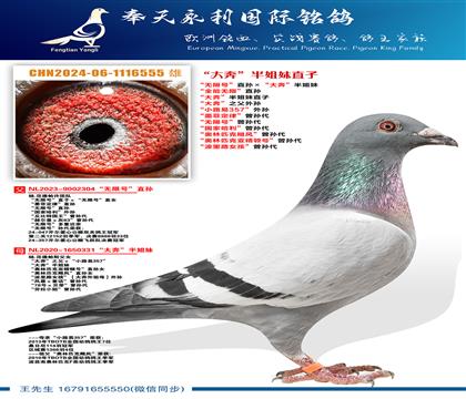 “大奔”半姐妹直子“无限号”直孙ד大奔”半姐妹