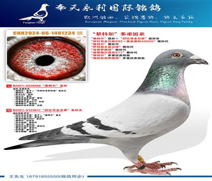 “基特尔”直孙ד好红号全兄弟”直孙女 “好红号全兄弟992