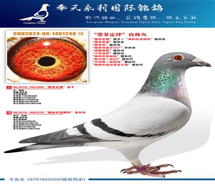 ��ī�ƶ��ɡ�ֱ�ӡ�������ƥ��쫷硱ֱ��Ů ��ī�ƶ��ɡ�ֱ��Ů