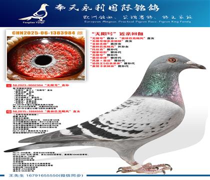 “无限号母亲亲姐妹”直女“无限号”直孙ד奥林匹克飓风”直女