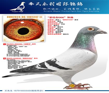 “无限号”直孙ד基特尔006”直女 “全能无限”直孙 “基