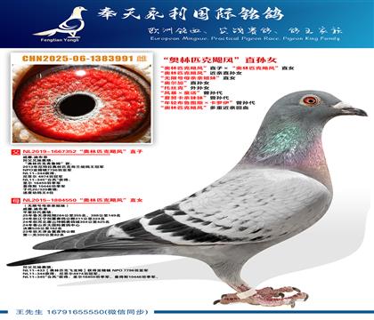 ������ƥ��쫷硱ֱ�ӡ�������ƥ��쫷硱ֱŮ ������ƥ��쫷硱