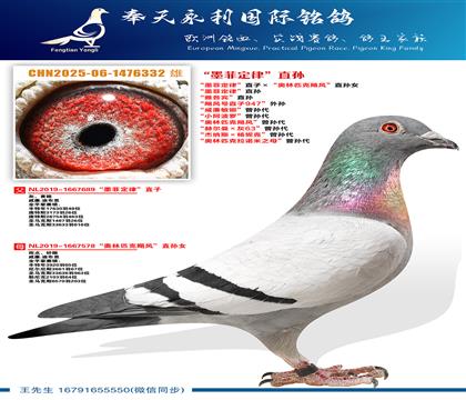 ��ī�ƶ��ɡ�ֱ�ӡ�������ƥ��쫷硱ֱ��Ů ��ī�ƶ��ɡ�ֱ��