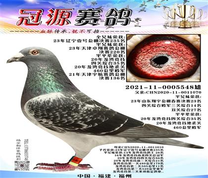 ���徺���Ĺ��ۺϹھ�ֱŮX���徺���Ĺ��ۺϹھ�ֱ��