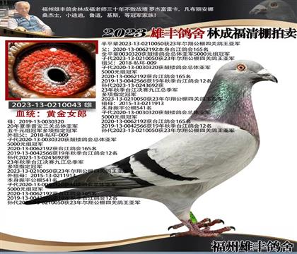 ���蹫���Ĺ��ۺ��Ǿ�����X���蹫���Ĺ��ۺ��Ǿ�����ȫ����