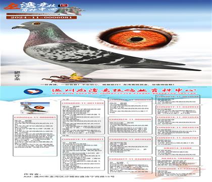 ���徺���Ĺعھ�ֱŮX���徺���Ĺعھ�ֱ��