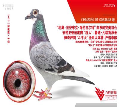 ³�Ϸ���˹648