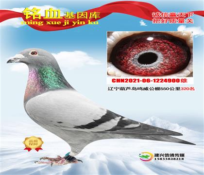 ��������550����320��