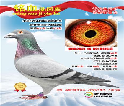 �緫�ָ룬������������ֱ��416