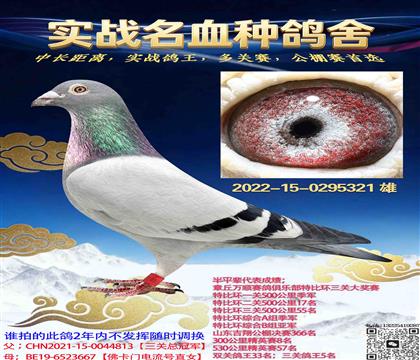 �رȻ����������