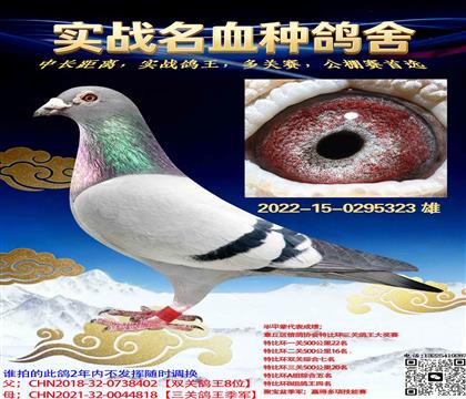 ������������һ���ϰ�