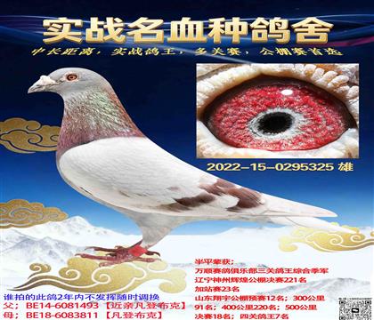 �Ͽ˷��ǲ���X��������