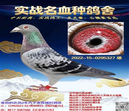 ��Ѫ����X��Ѫ�Էǳ�ǿ