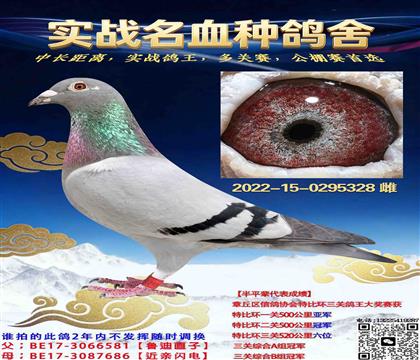 �Ǳȶ���񽱸�֮ĸ