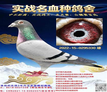 �ƹ���������